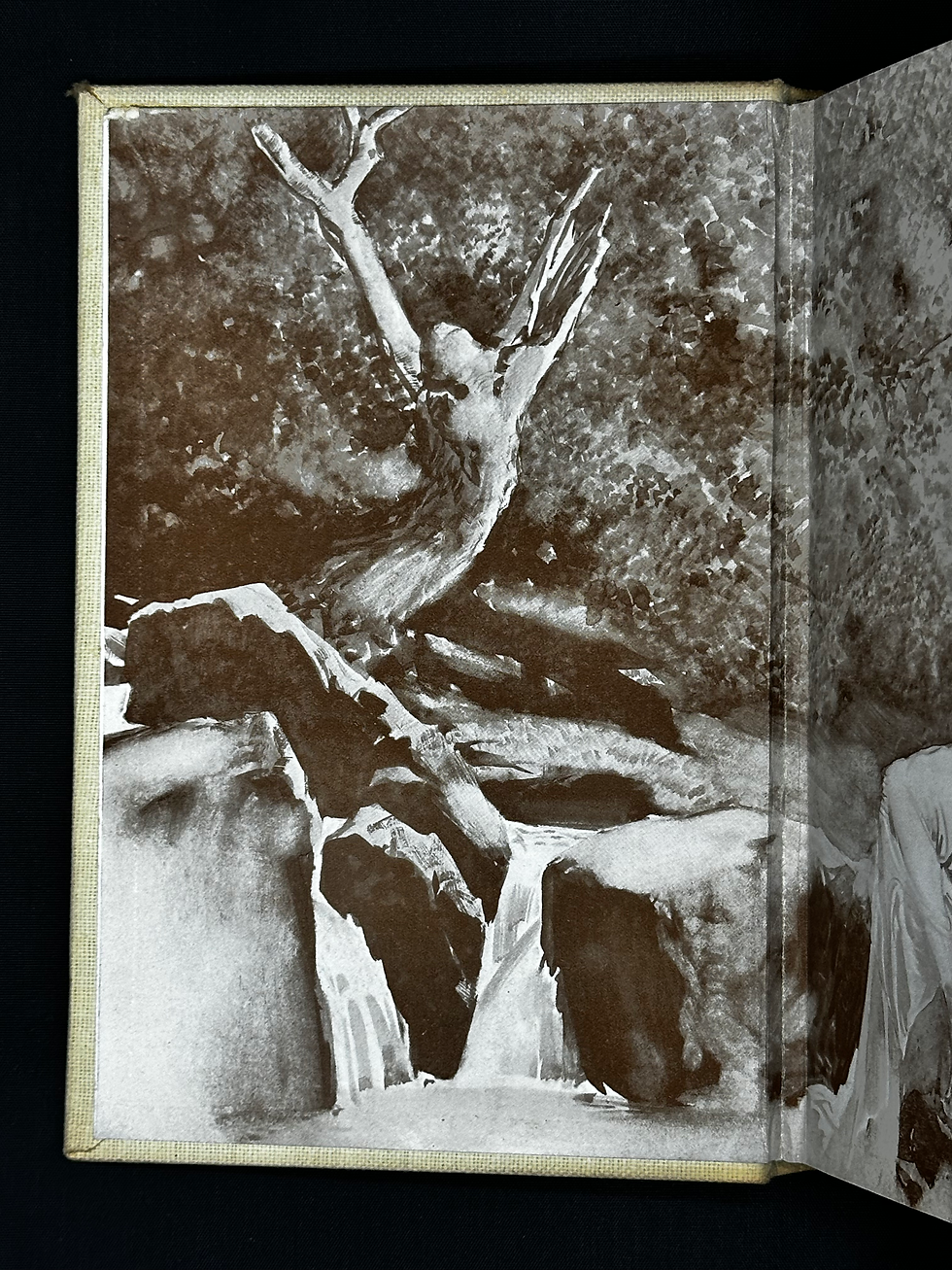 Thumbnail: The Way of an Eagle by Ethel M. Dell.