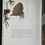 Thumbnail: The Beast of Monsieur Racine by Tomi Ungerer. Published by The Bodley Head.