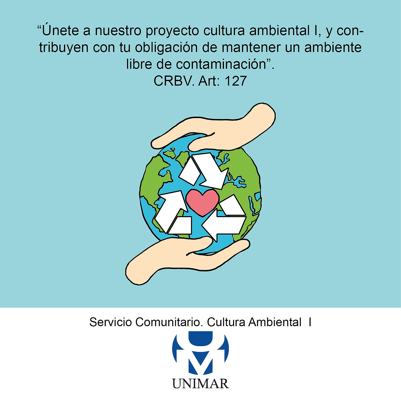 CRBV. Art.127