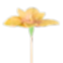 53.png