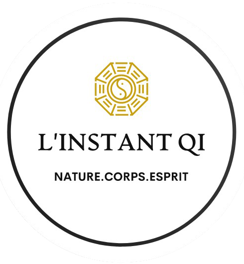 Logo linstantqi_double.png