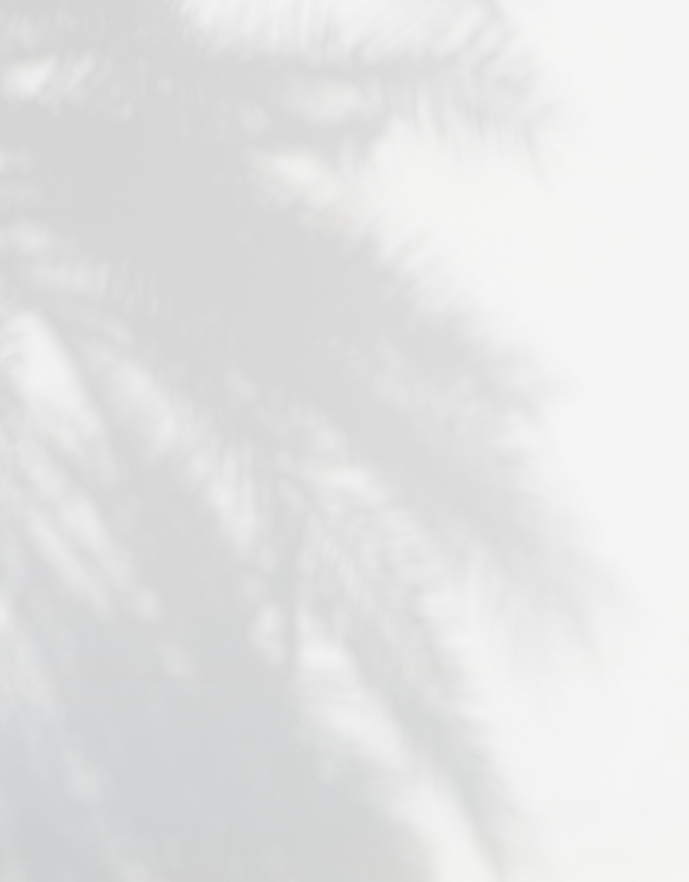 augustine-wong-oebTM5wHTfw-unsplash 1.png