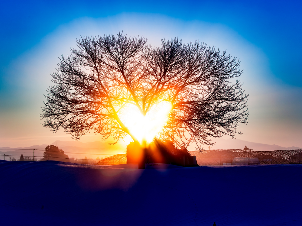 心に眠る太陽を起動する