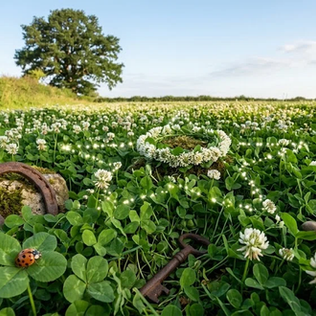 サビアンシンボル牡牛座3度