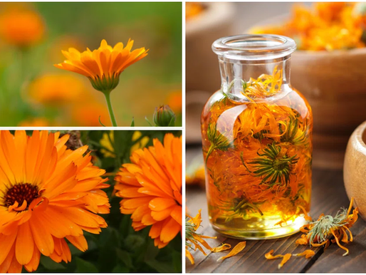 サビアンシンボル牡牛座4度