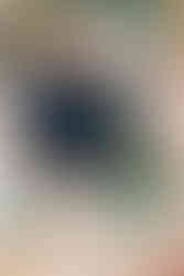 repas mariage mariage pink mamma