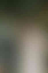 mariée lisant ses voeux a son époux