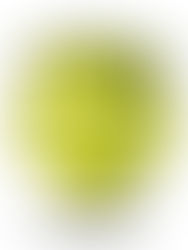 Insider's Guide to Retail Security Systems