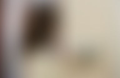 Issues That Make Security Systems Vulnerable to Failure