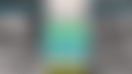 Types of New Homebuilders and Selection of Smart Home Technology