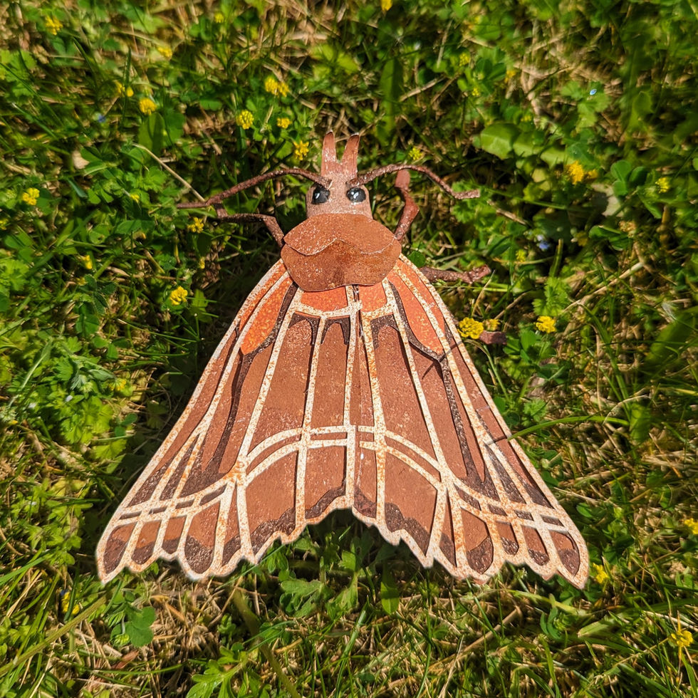 PXL_20240512_112158281~2