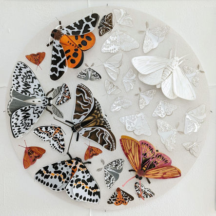 3D Laser Cut Moths