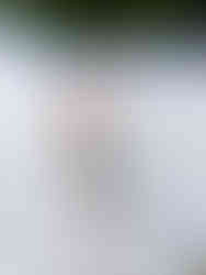 PXL_20230615_181752971