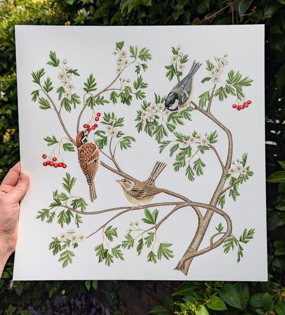 PXL_20250604_130803495~2