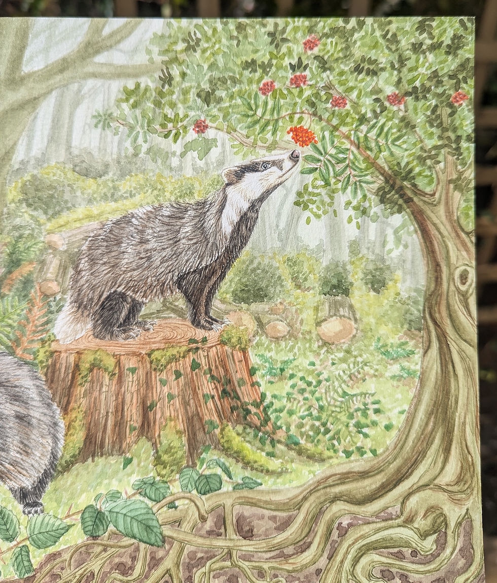 Thumbnail: Two in the Thicket