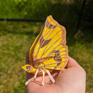 3D Paper Moths