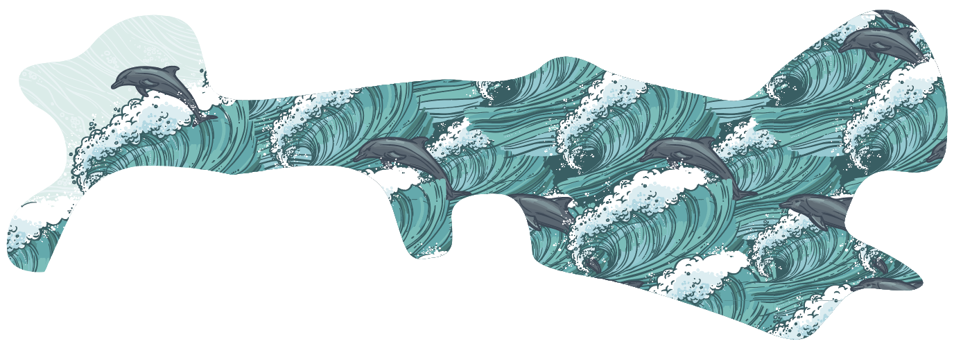 Dolphins
