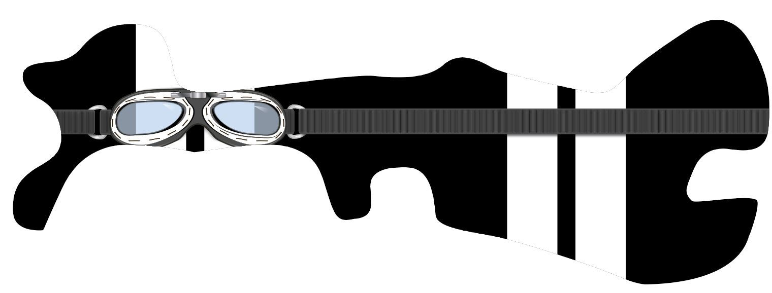 Motorcycle Helmet Aviator