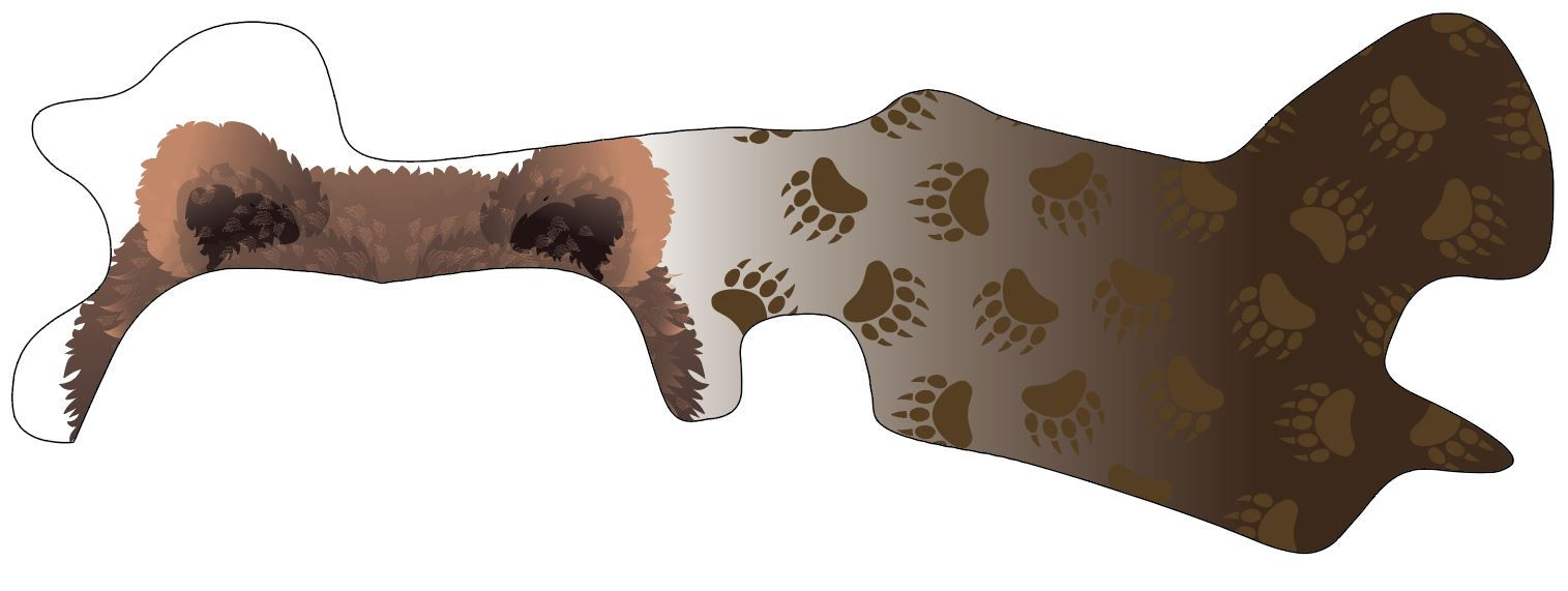 Brown Bear