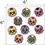 Thumbnail: Sugar Skulls Mini