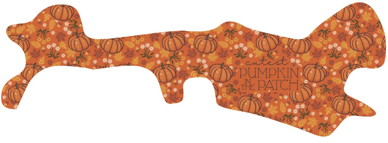 Pumpkin Patch Orange