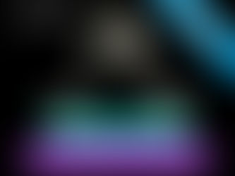 Da Informatico alla Jihad