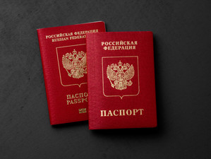 Вместо паспорта - специальная карта с чипом и мобильное приложение