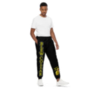 BlewCollar Vertical track pants