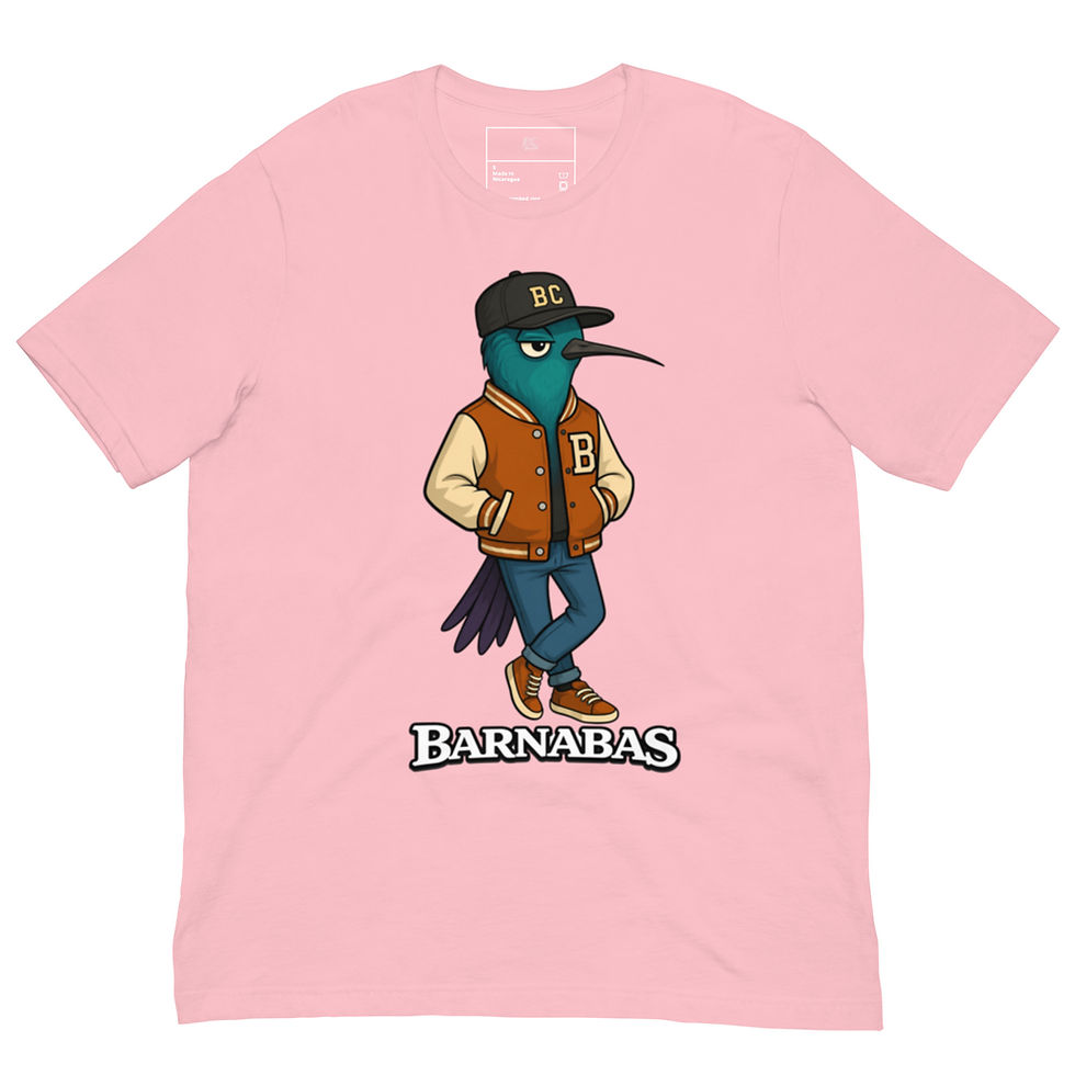 Thumbnail: Barnabas unisex "Son of Encouragement" tee