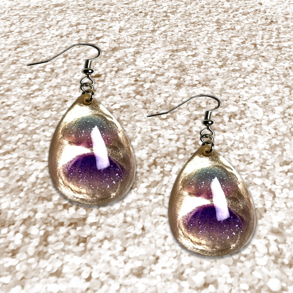 Waterdrop Seashell Earrings