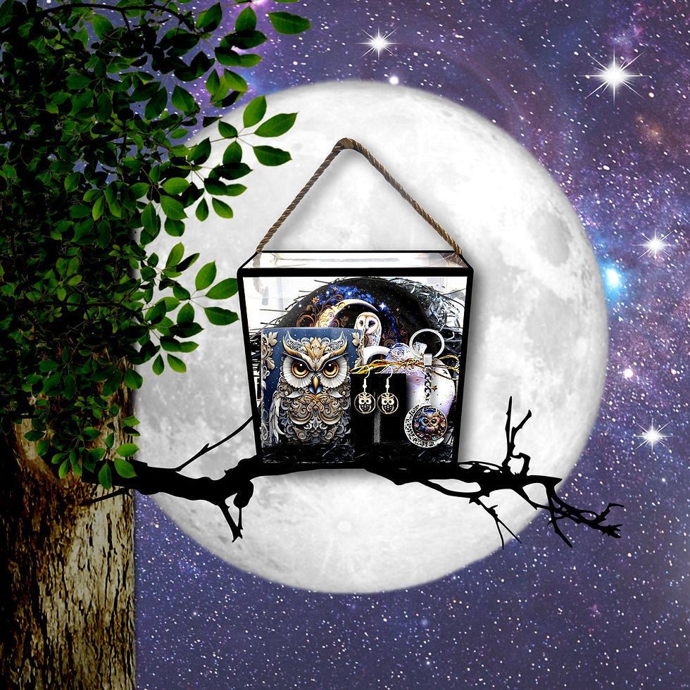 Thumbnail: Owl illustration in a house with a full moon backdrop, tree branch and leaves.