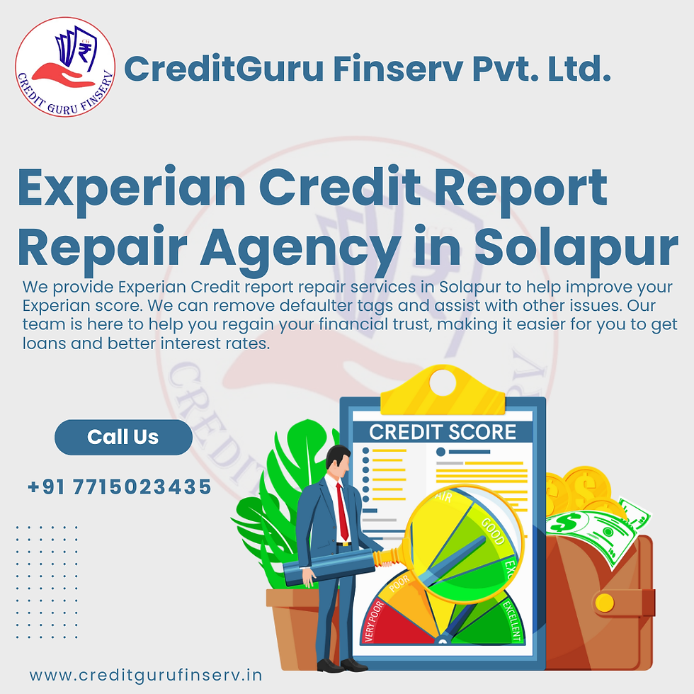 Experian Credit Report Repair Agency in Solapur