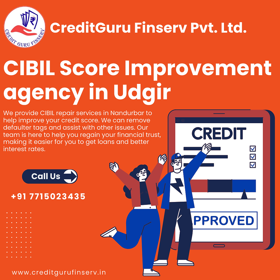 CIBIL Score Improvement agency in Udgir