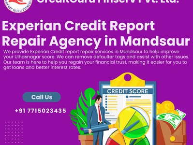 Experian Credit Report Repair Agency in Mandsaur