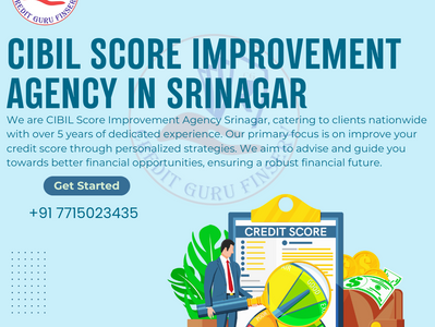 CIBIL Score Improvement Agency in Srinagar