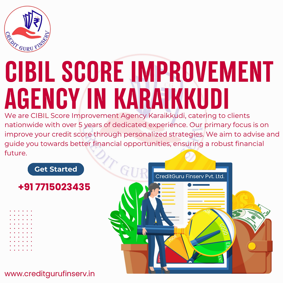 CIBIL Score Improvement agency in Karaikkudi