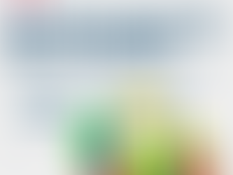 CIBIL Score Improvement Agency in Vapi