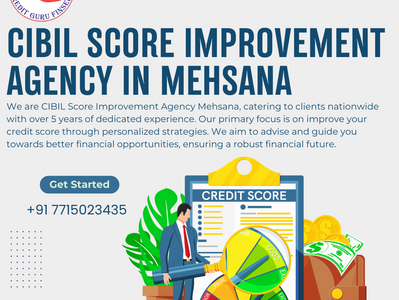 CIBIL Score Improvement Agency in Vapi