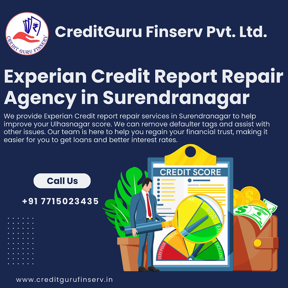 Experian Credit Report Repair Agency in Surendranagar