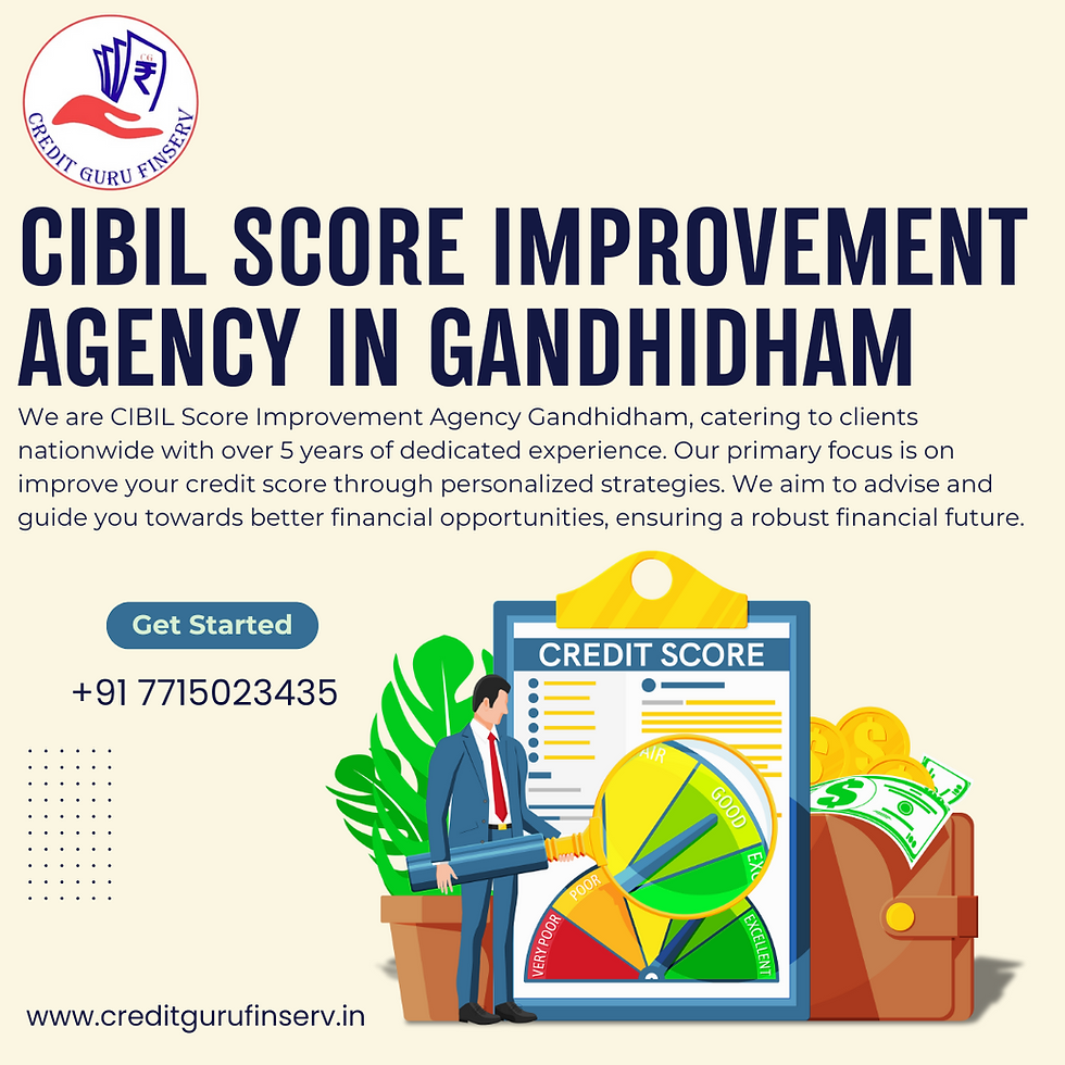 CIBIL Score Improvement Agency in Gandhidham