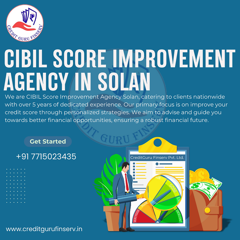 CIBIL Score Improvement Agency in Solan