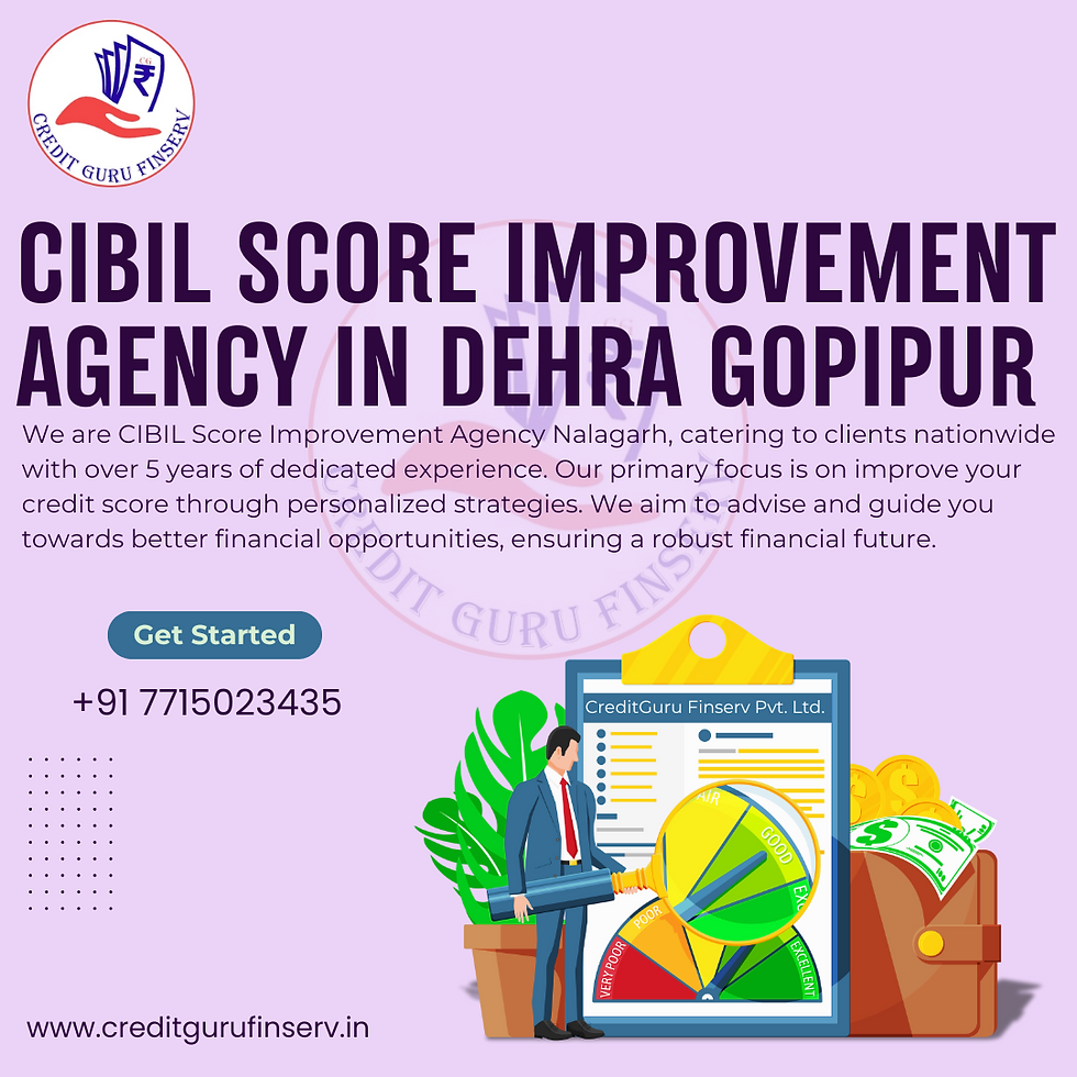 CIBIL Score Improvement Agency in Dehra Gopipur