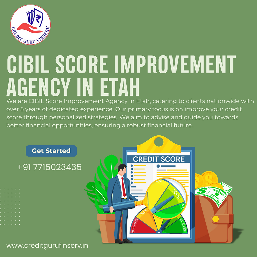 CIBIL Score Improvement agency in Etah