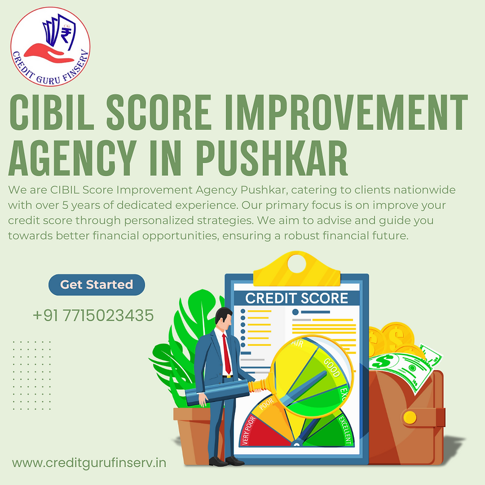 CIBIL Score Improvement Agency in Pushkar