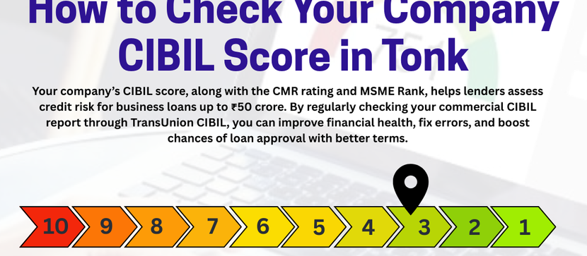 How to Check Your Company CIBIL Score in Tonk