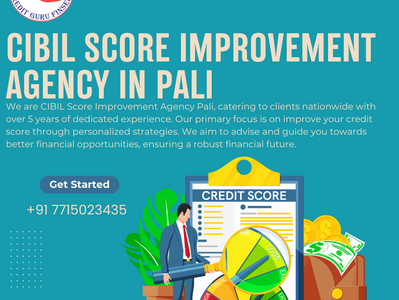 CIBIL Score Improvement Agency in Pali