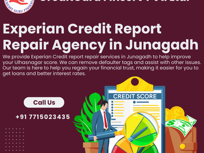Experian Credit Report Repair Agency in Junagadh