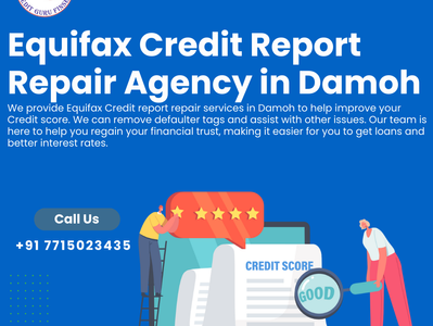 Equifax Credit Report Repair Agency in Damoh