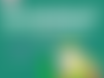 CIBIL Score Improvement agency in Miryalaguda