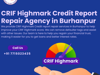CRIF Highmark Credit Report Repair Agency in Burhanpur